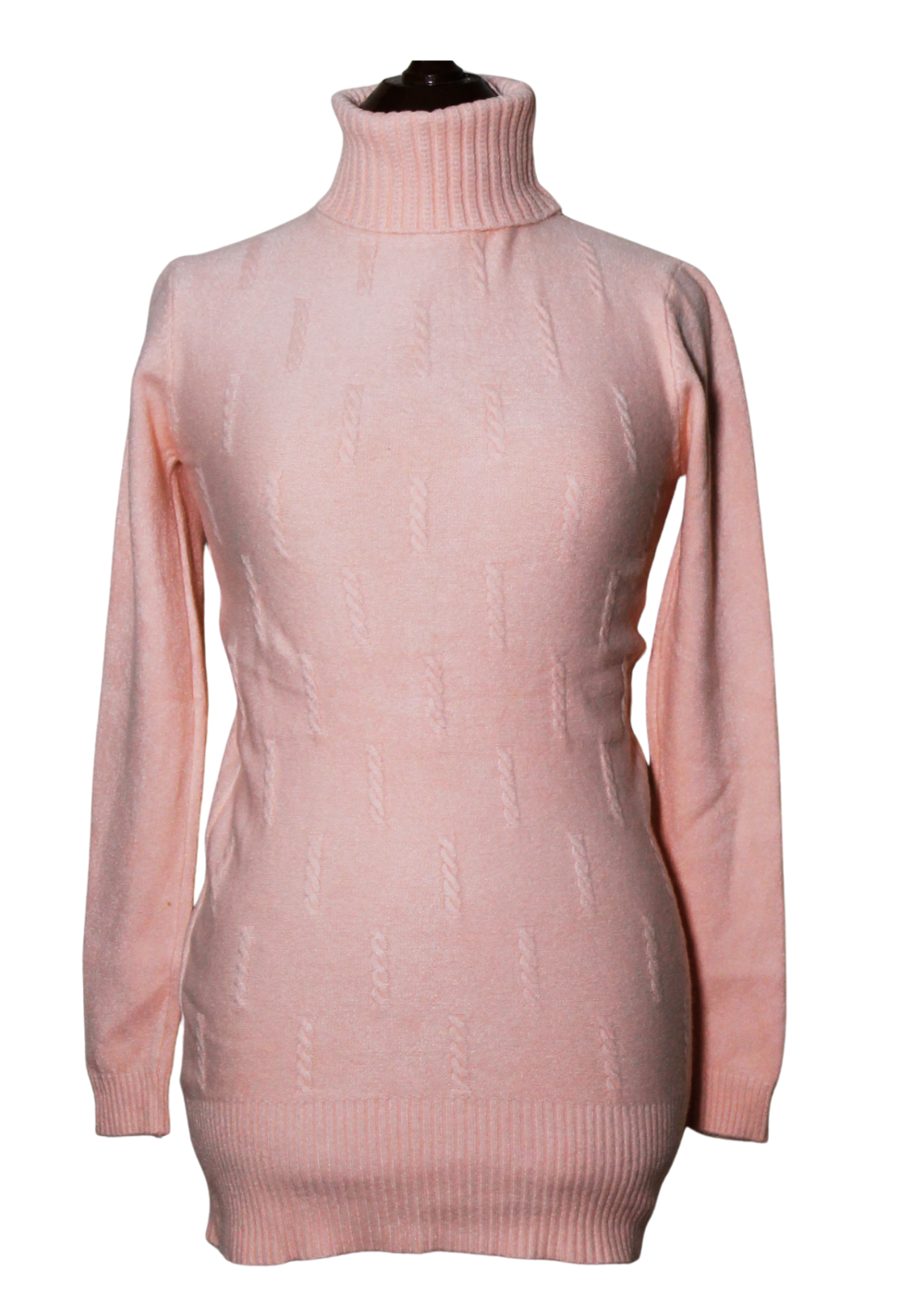 Turtle Neck Long Sweater