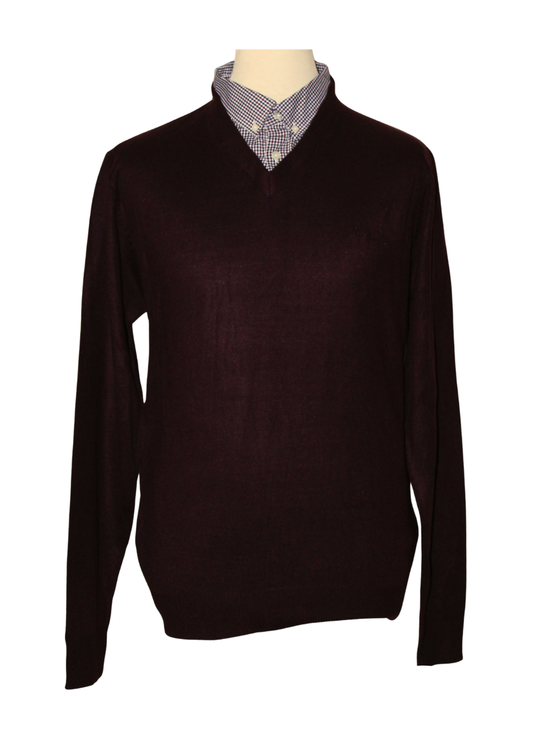 V-neck pullover with Mock Collar Insert